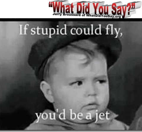 if-stupid-could-fly